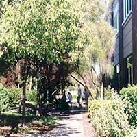 Alliant International University