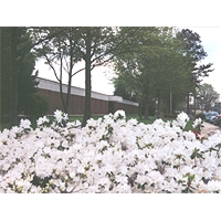 Martin Community College