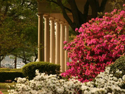 Pitt Community College