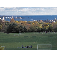 Connecticut College
