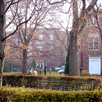 American International College