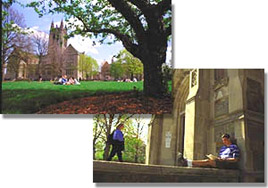 Boston College