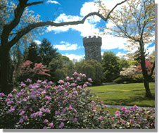 Regis College