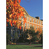 Adelphi University
