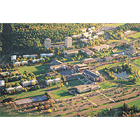 Ithaca College