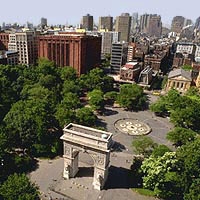 New York University