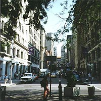 New York University