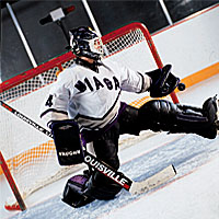 Niagara University