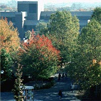 State University of New York at Stony Brook