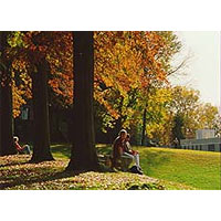 Arcadia University