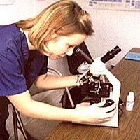 Pennsylvania Commercial College