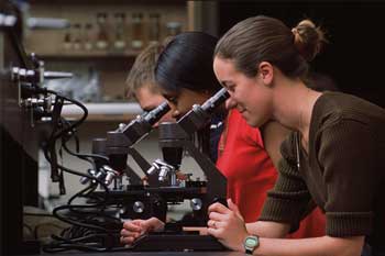 Averett University
