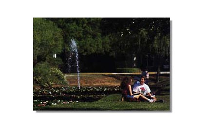 Hardin-Simmons University