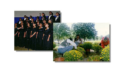 Carroll County Community College List Of Colleges In Texas