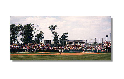 Rice University