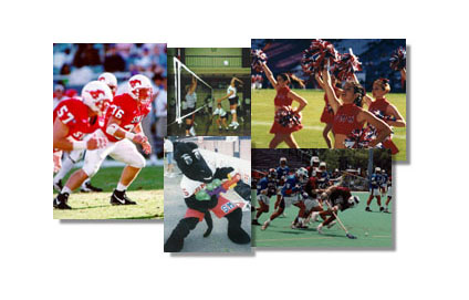 Southern Methodist University