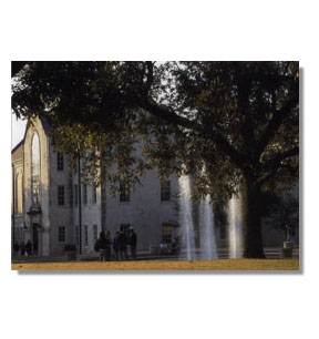Southwestern University